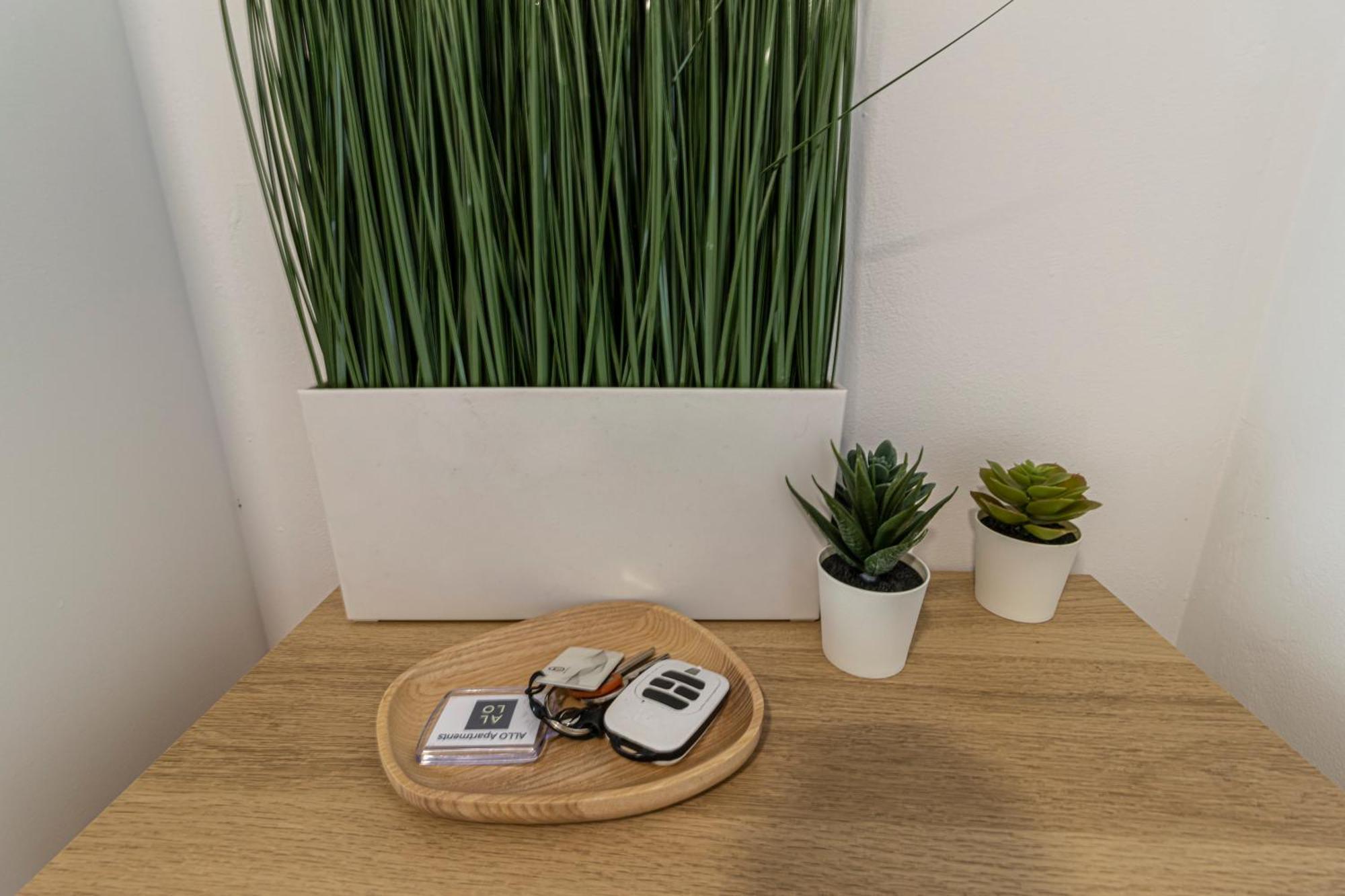 Allo Apartments Arroyo Atico Parking 1 Habitacion Jerez de la Frontera Zewnętrze zdjęcie